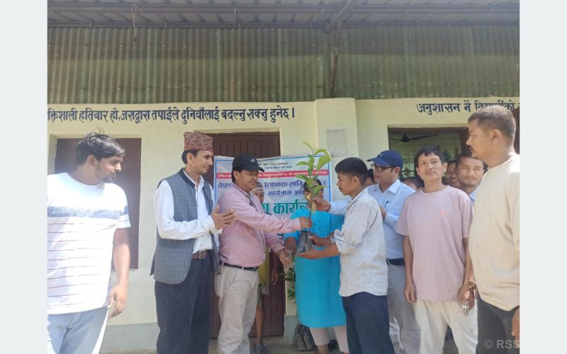 इच्छाकामनाका चेपाङ समुदायलाई चिउरीको बिरुवा वितरण