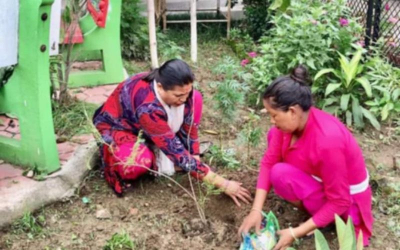 पृथ्वी माविमा बृक्षारोपण तथा सचेतनामुलक कार्यक्रम