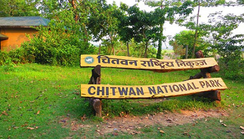 चितवन राष्ट्रिय निकुञ्जमा बजेट अभावले संरक्षणमा चुनौती