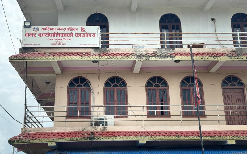 लिजामा चितवनका पालिका : महानगरलाई उछिन्दै तेस्रो बन्यो कालिका