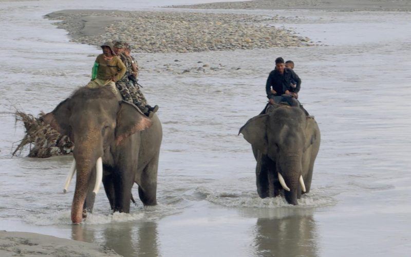 चितवनको राप्ती नदीमा बेपत्ता दुई पुरुष मध्ये एकको शव फेला