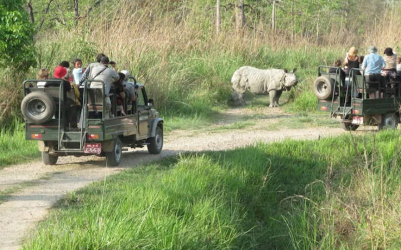 फूलपातीदेखि चितवन राष्ट्रिय निकुञ्जभित्र जीप सफारी संचालन हुने