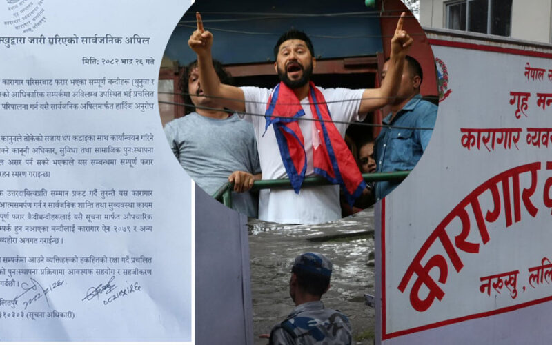 रास्वपाको प्रष्टीकरणः नख्खु कारागारले नै पटकपटक आग्रह गरेपछि रविलाई जिम्मा लिएका हौं