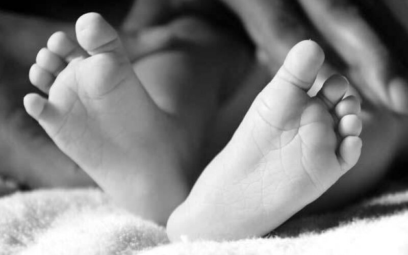झापाको शिवसताक्षीमा सर्पको टोकाइबाट बालकको मृत्यु