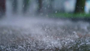 सुन तोलामा पाँच हजार चार सयले बढेसँगै चाँदीको मूल्यमा पनि वृद्धि