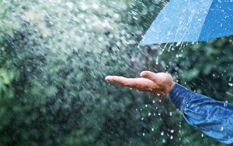 बेमौसमी वर्षाः दुई अर्बभन्दा बढीको क्षति
