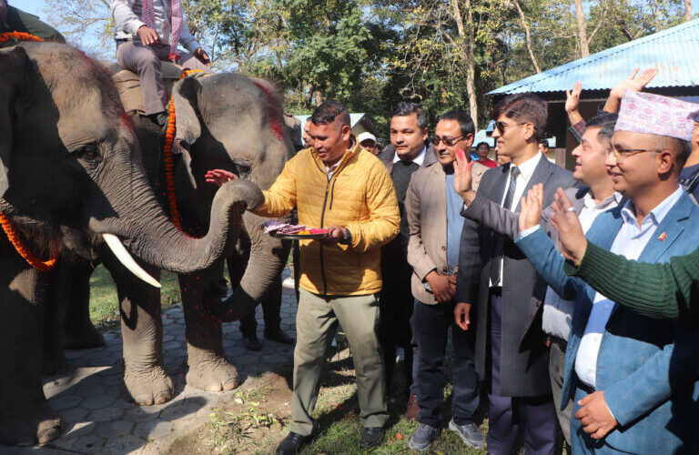 रुद्रकली र खगेन्द्रप्रसाद भैरहवा पुगे : भोलि कतार उड्दै