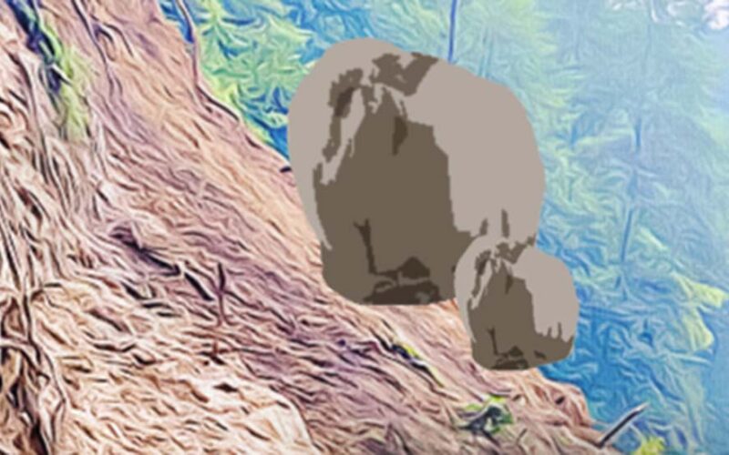 घरमा ढुङ्गा खस्दा चार जना घाइते