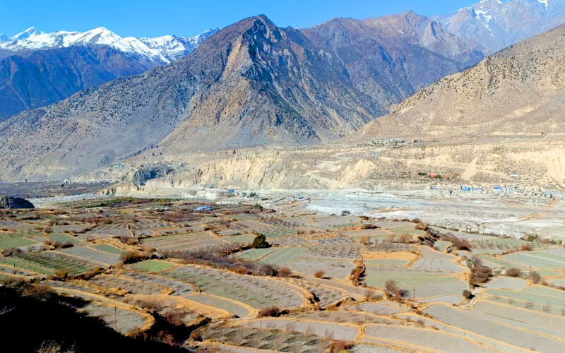 हिमपात नहुँदा मुस्ताङका किसान चिन्तित