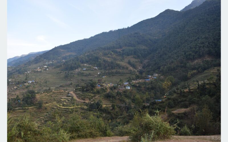 मध्यवर्ती क्षेत्रमा पशुचौपाया जोगाउनै मुस्किल
