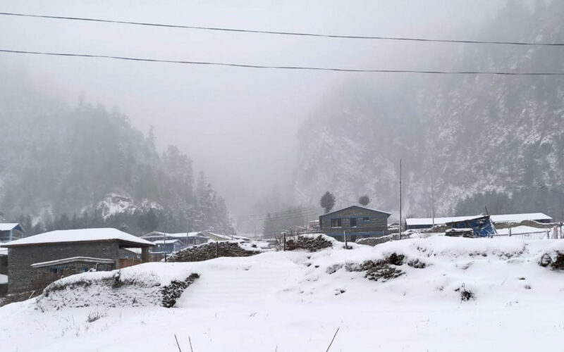 रसुवाको उत्तरी भेकमा हिमपात Logoनारायणी अनलाइन १४ माघ २०८२, बुधबार