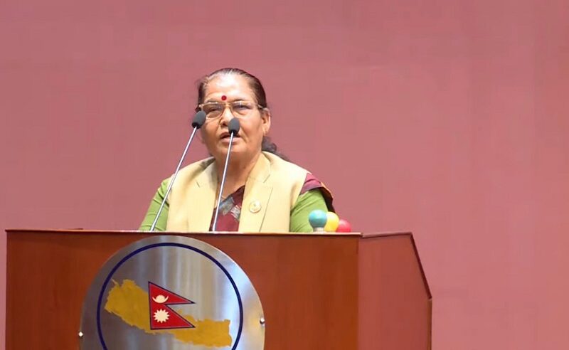 छानबिन गर्न गठित आयोगको प्रगतिबारे सदनलाई जानकारी गराउन माग