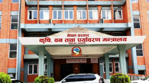 पोखरामा पहिरोमा घर पुरिँदा मृत्यु   