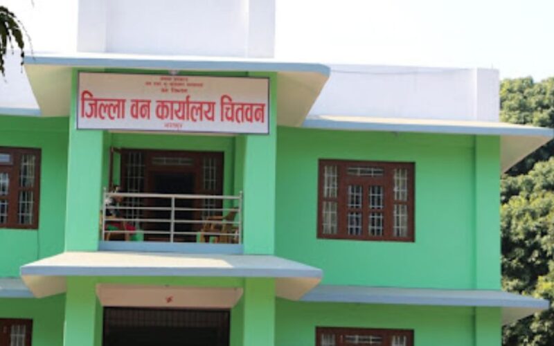 राष्ट्रिय वन क्षेत्रमा रहेका पुराना सालका काठ व्यवस्थापन गर्दै डिभिजन वन कार्यालय चितवन