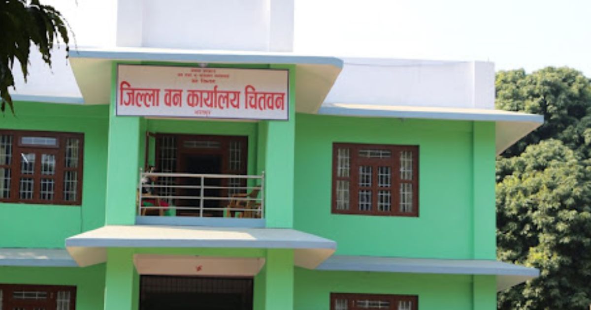 राष्ट्रिय वन क्षेत्रमा रहेका पुराना सालका काठ व्यवस्थापन गर्दै डिभिजन वन कार्यालय चितवन
