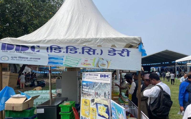 रास्वपा महाधिवेशनस्थलमा डीडीसीको बिक्री कक्ष, दुग्धजन्य उत्पादनमा १० प्रतिशतसम्म छुट