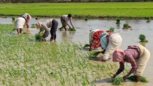 सी जिनपिङ र भ्लादिमिर पुटिनबीच भेटवार्ता : दुई देशको सम्बन्धबारे छलफल
