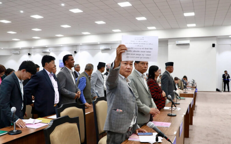 प्रतिनिधिसभा : राष्ट्रियताका सवालमा विपक्षीबाट सरकारको जवाफ माग