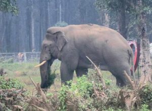 उपचार गर्ने भन्दै कैदीलाई होटल लगेर प्रहरीले खुवाए मासु र बियर