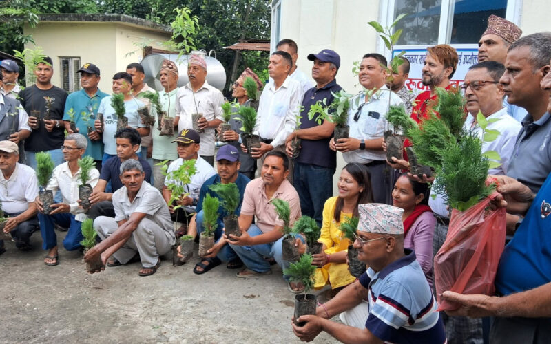 रत्ननगर खानेपानीद्वारा उपभोक्तालाई निःशुल्क बिरुवा वितरण