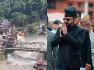 ध्रुवे हात्तीको आक्रमणपछि बहस: के हात्तीले पुस्तौँसम्म रिस साँध्छ?