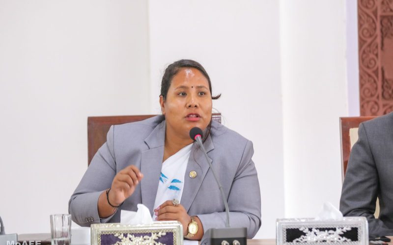 मानव–वन्यजन्तुबीचको सहअस्तित्व जोगाउन हात्ती ‘सेन्चुरी’ कार्यक्रमः मन्त्री चौधरी