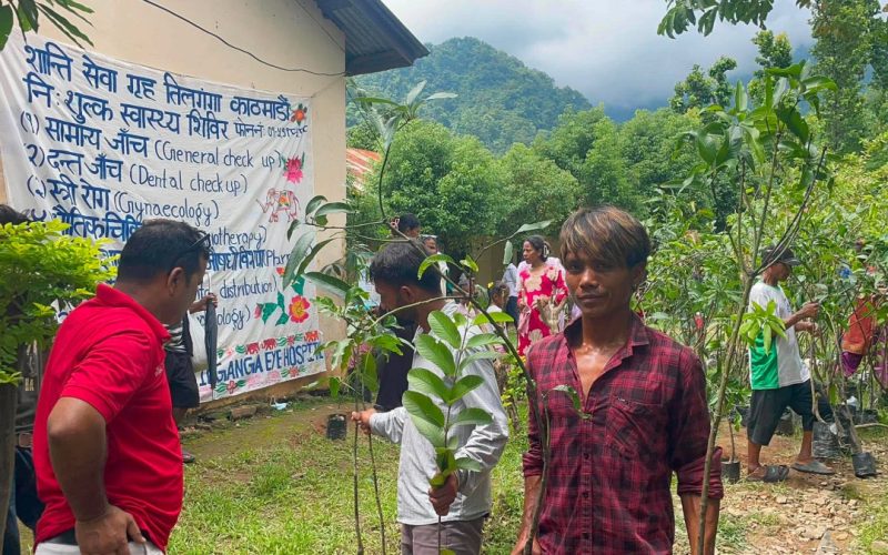 चेपाङ बस्तीमा २ हजार फलफूलका बिरुवा वितरण, आपदेखि लिच्ची र कटहरसम्मले बढाउनेछ पोषण र आम्दानी