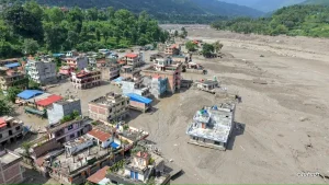 बाढीले बगायो नारायणी नदीको झोलुङ्गे पुल