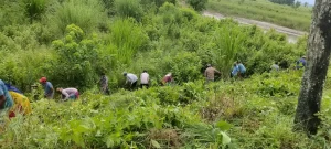 इन्डोनेसियामा भीषण पहिरोः ७ जनाको मृत्यु, ८२ जना बेपत्ता