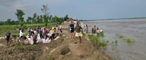 नारायणीको बाढीले सुस्तामा जोखिम, बस्ती जोगाउन स्थानीय आफैं मैदानमा