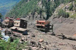 ध्रुवे हात्तीको आक्रमणपछि बहस: के हात्तीले पुस्तौँसम्म रिस साँध्छ?