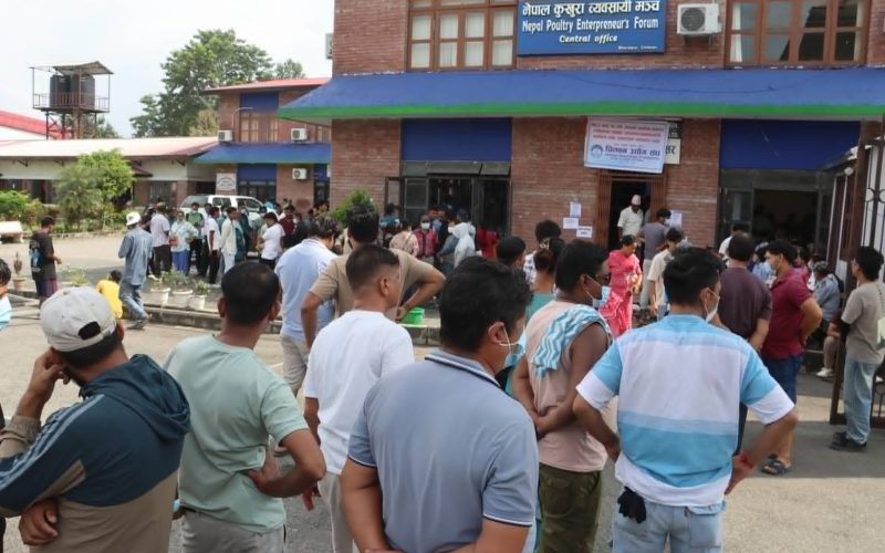 चितवनमा शव पहिचान गर्न ‘डिस्प्ले बोर्ड’, दुई जनाको पहिचान, गर्मीका कारण व्यवस्थापनमा समस्या