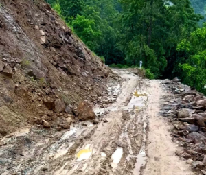 सुनको मूल्य बढ्यो, ३ लाख ५ हजार २ सयमा कारोबार