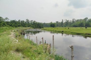 ChitwanSerofero