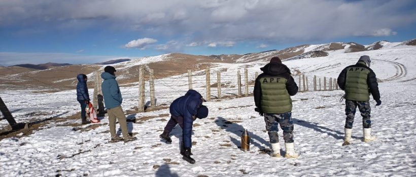 202512150930-d6538323-e47e-402c-875f-cf964d29a1af_medium