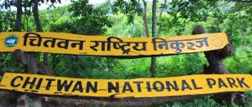 chitwan rastrya nikunja