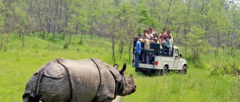 chitwan