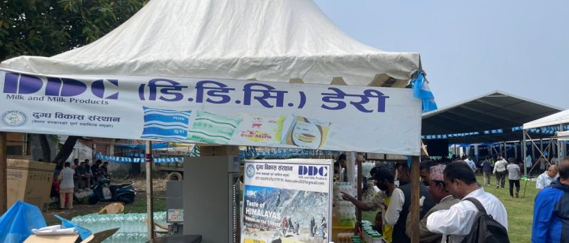 dcc dairy