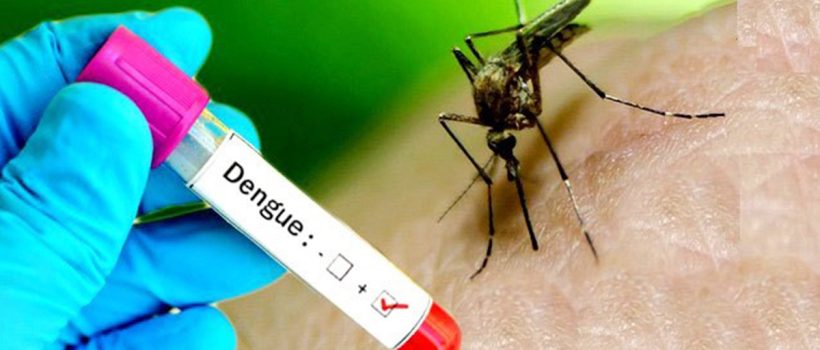 dengue