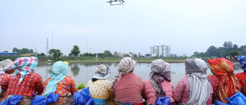 dhaan dibas with drone