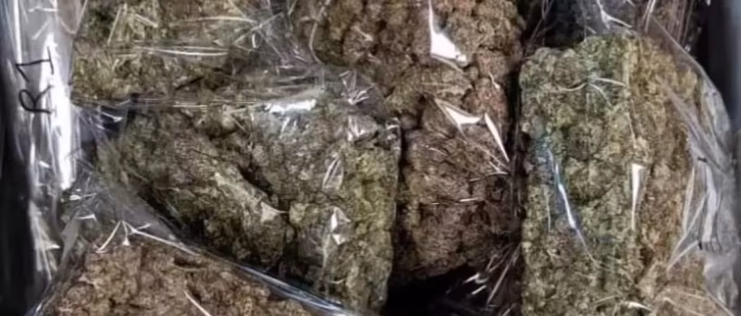 ganja
