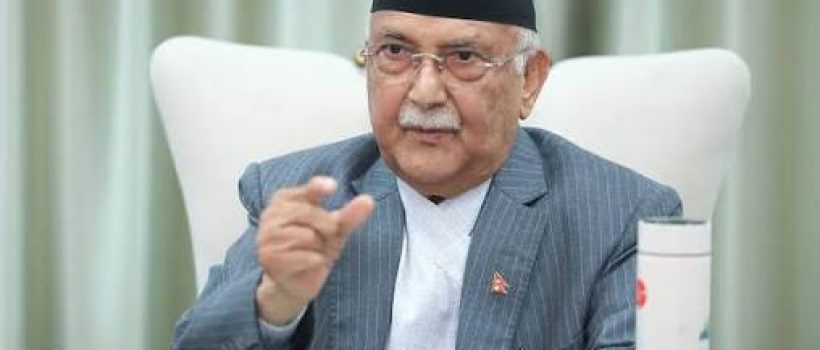 kp oli