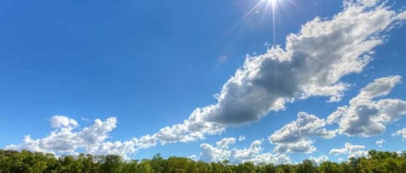 sunny
